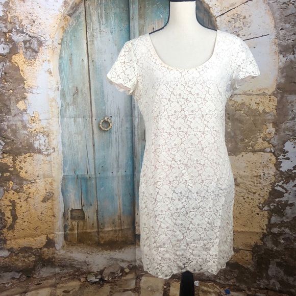 TALULAH Dresses & Skirts - TALULA Large Blush Lined Lace Dress